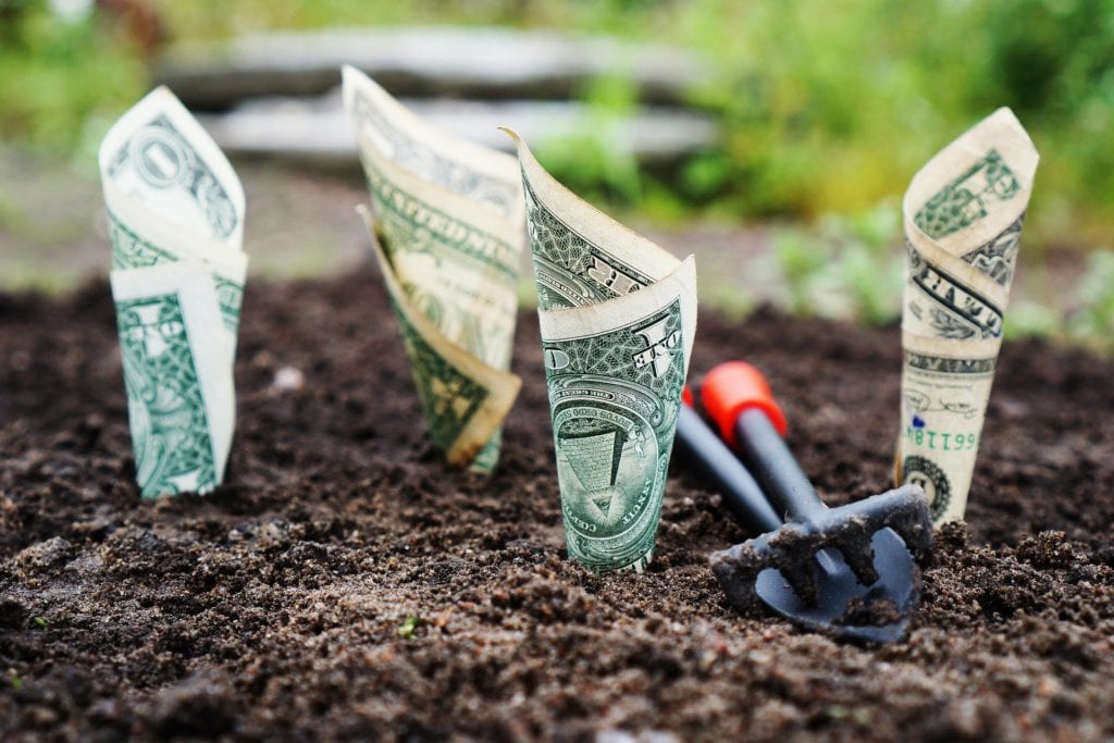 Money Growing Planted Dollars planted in the ground growing